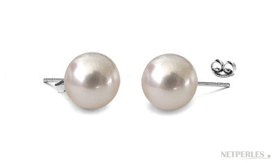 Boucles d'Oreilles de perles de culture d'Australie montées sur Or, perles haut de gamme, prix NETPERLES